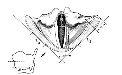 fig105