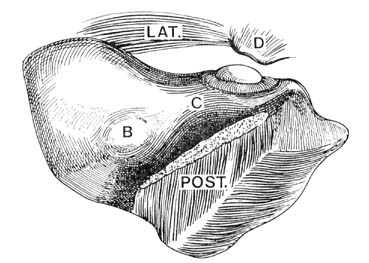 fig144