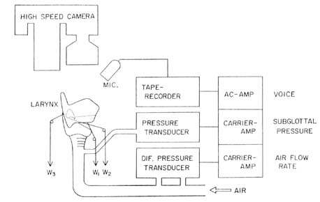 fig31