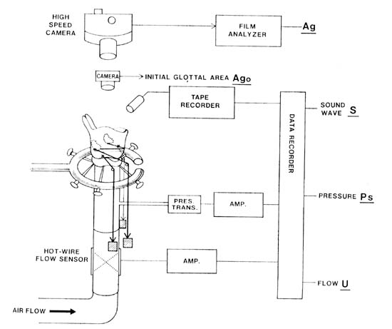 fig9